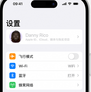 武安appleID维修服务iPhone设置中Apple ID显示为灰色无法使用 