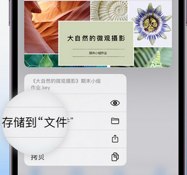 武安apple维修中心分享iPhone文件应用中存储和找到下载文件