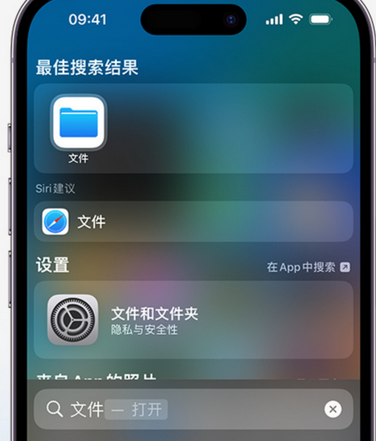 武安apple维修中心分享iPhone文件应用中存储和找到下载文件 