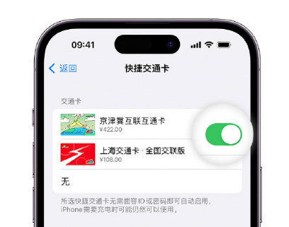 武安apple维修点分享iPhone上更换Apple Pay快捷交通卡手绘卡面 