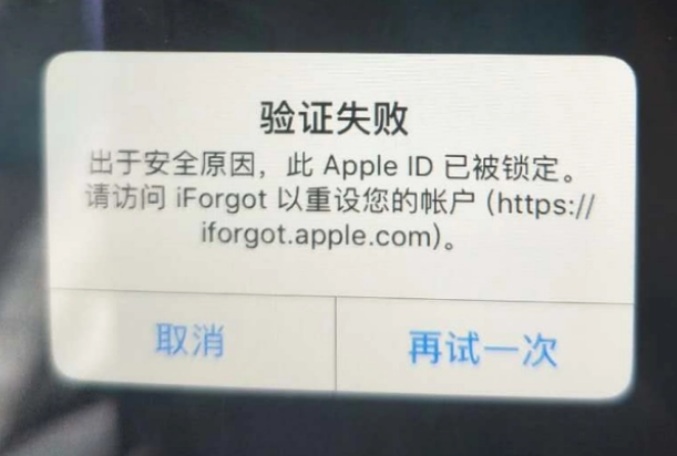 武安iPhone维修分享iPhone上正常登录或使用AppleID怎么办 