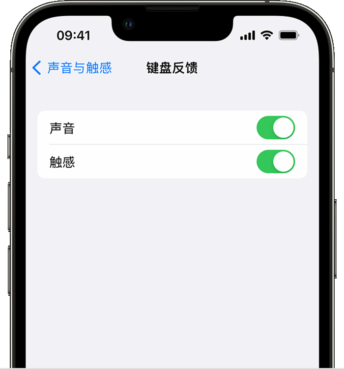 武安苹果14维修店分享如何在 iPhone 14 机型中使用触感键盘 