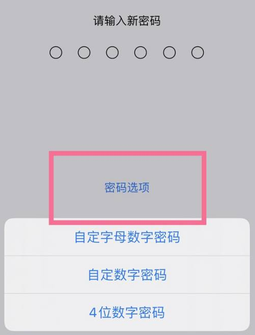 武安苹果14维修分享iPhone 14plus设置密码的方法 