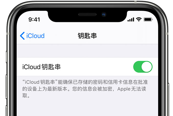 武安苹果手机维修分享在 iPhone 上开启 iCloud 钥匙串之后会储存哪些信息 