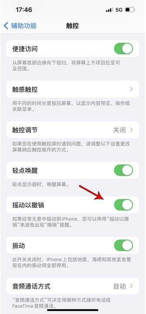 武安苹果手机维修分享iPhone手机如何设置摇一摇删除文字 